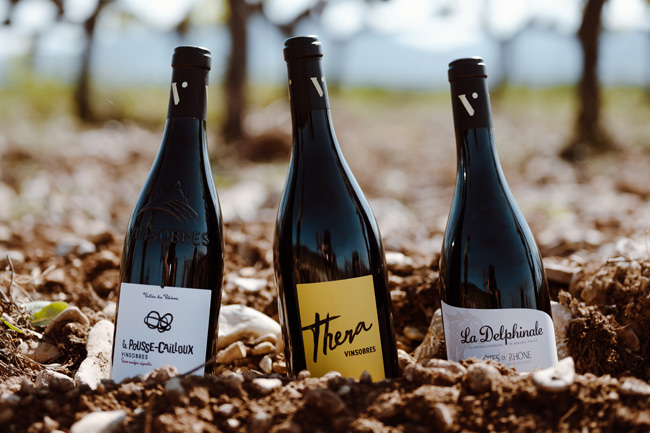 Vinsio au coeur de la Vallée du Rhône Vinsio au coeur de la Vallée du Rhône