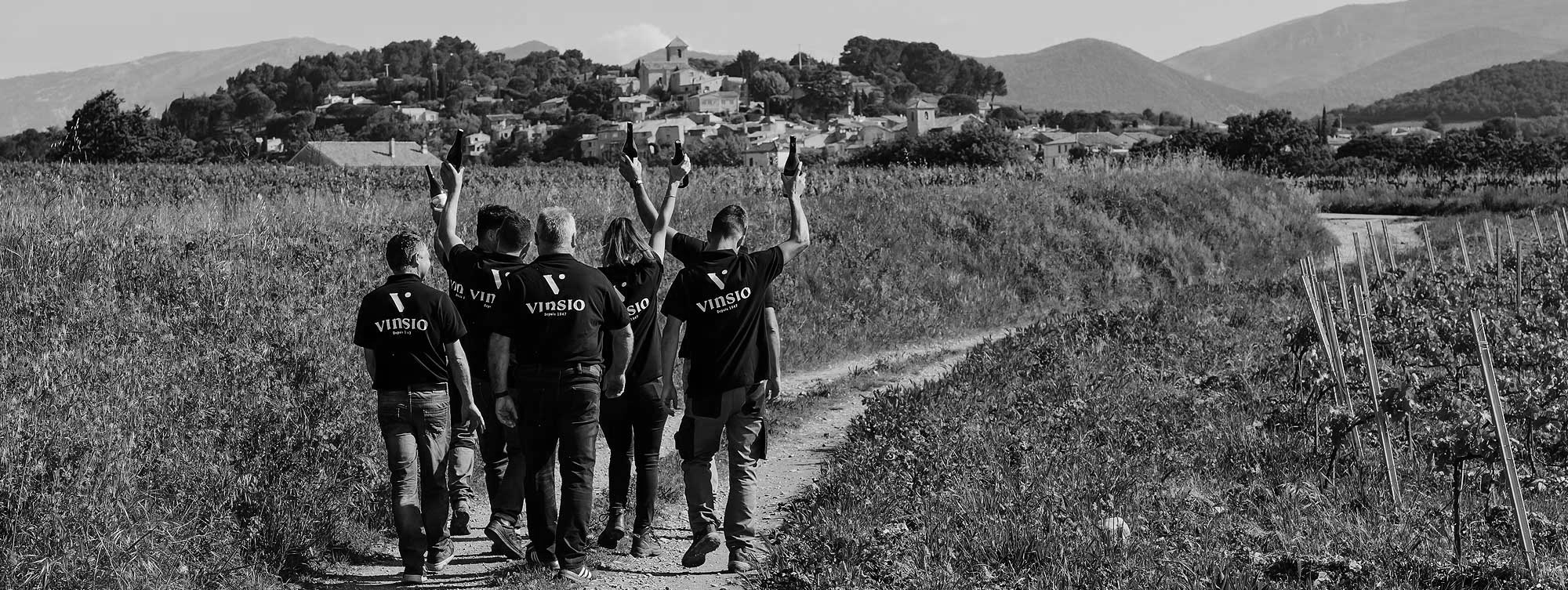 Vignoble Vinsobres de Vinsio