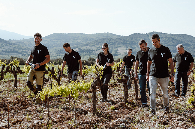 Vinsio au coeur de la Vallée du Rhône