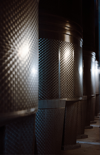 Vinsio au coeur de la Vallée du Rhône