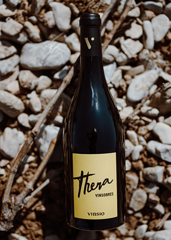 vinification de la cave Vinsio vinification de la cave Vinsio