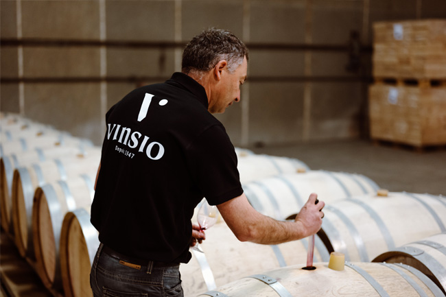 vinification de la cave Vinsio vinification de la cave Vinsio