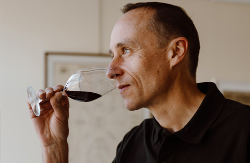 vinification de la cave Vinsio vinification de la cave Vinsio