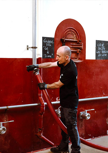 vinification de la cave Vinsio vinification de la cave Vinsio