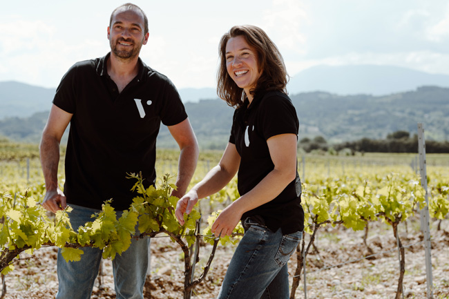 vinification de la cave Vinsio vinification de la cave Vinsio