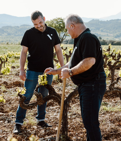 vinification de la cave Vinsio vinification de la cave Vinsio