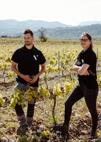 vinification de la cave Vinsio vinification de la cave Vinsio